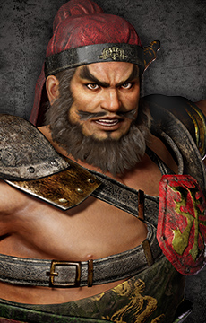 Zhang Fei