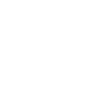 ZLボタン