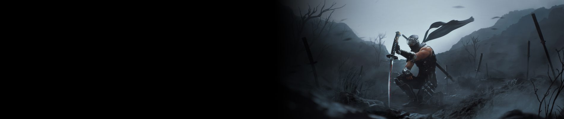 NINJA GAIDEN 2 Black